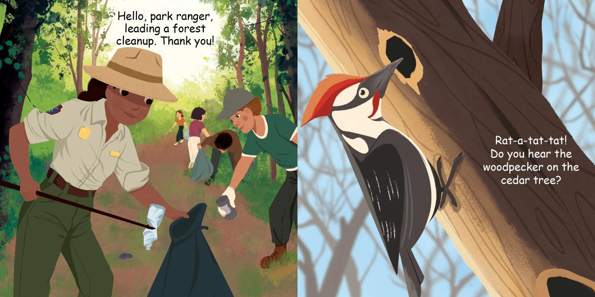 Good Night Forest US - Board book