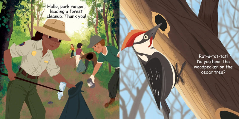 Good Night Forest US - Board book