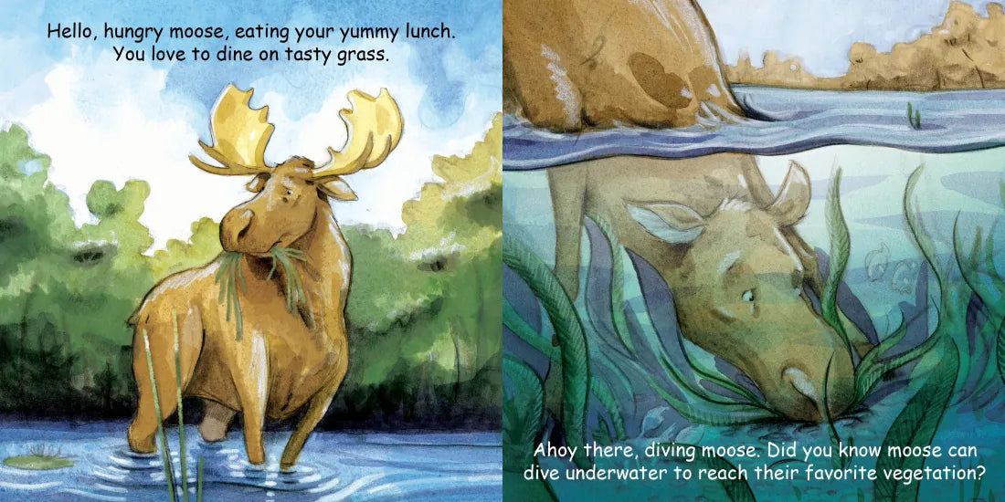 Good Night Moose US - Board book