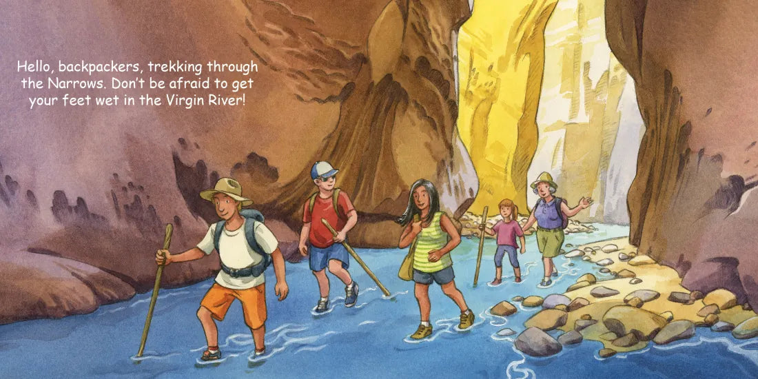 Good Night Zion US - Board book