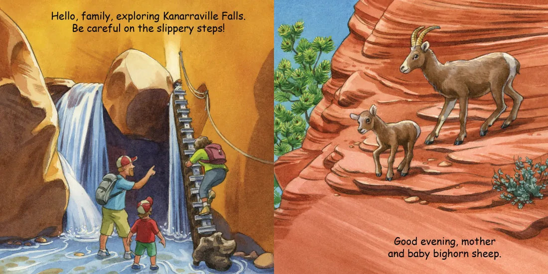Good Night Zion US - Board book