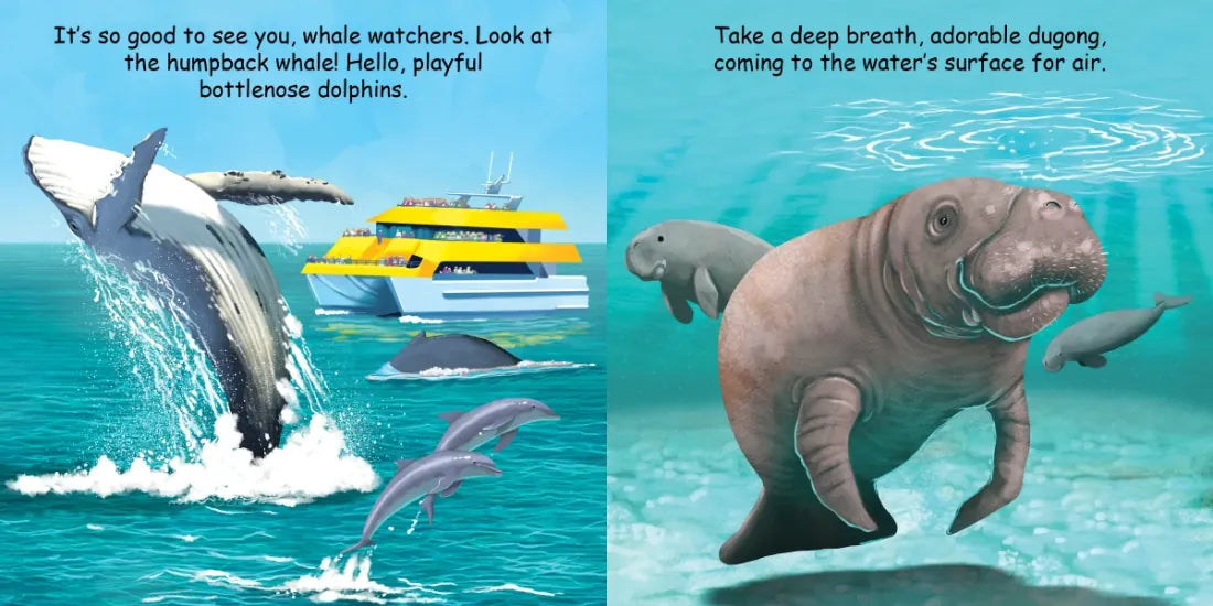 Good Night Great Barrier Reef US - Board book