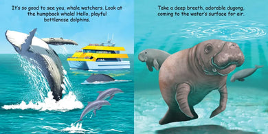 Good Night Great Barrier Reef US - Board book