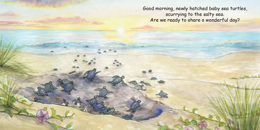 Good Night Turtles US - Board book