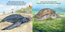 Good Night Turtles US - Board book