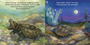 Good Night Turtles US - Board book