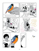 Transitions US - Paperback / softback