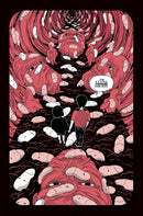 In Utero US - Paperback / softback