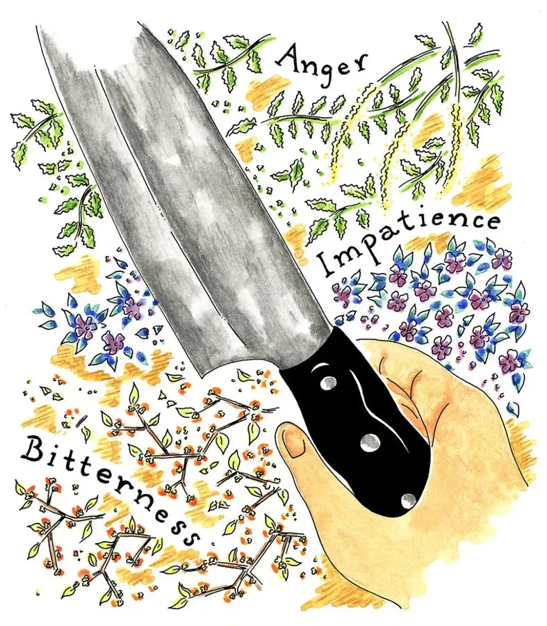 Where There's Smoke, There's Dinner: Confessions of a Cartoonist Cook US - Paperback / softback