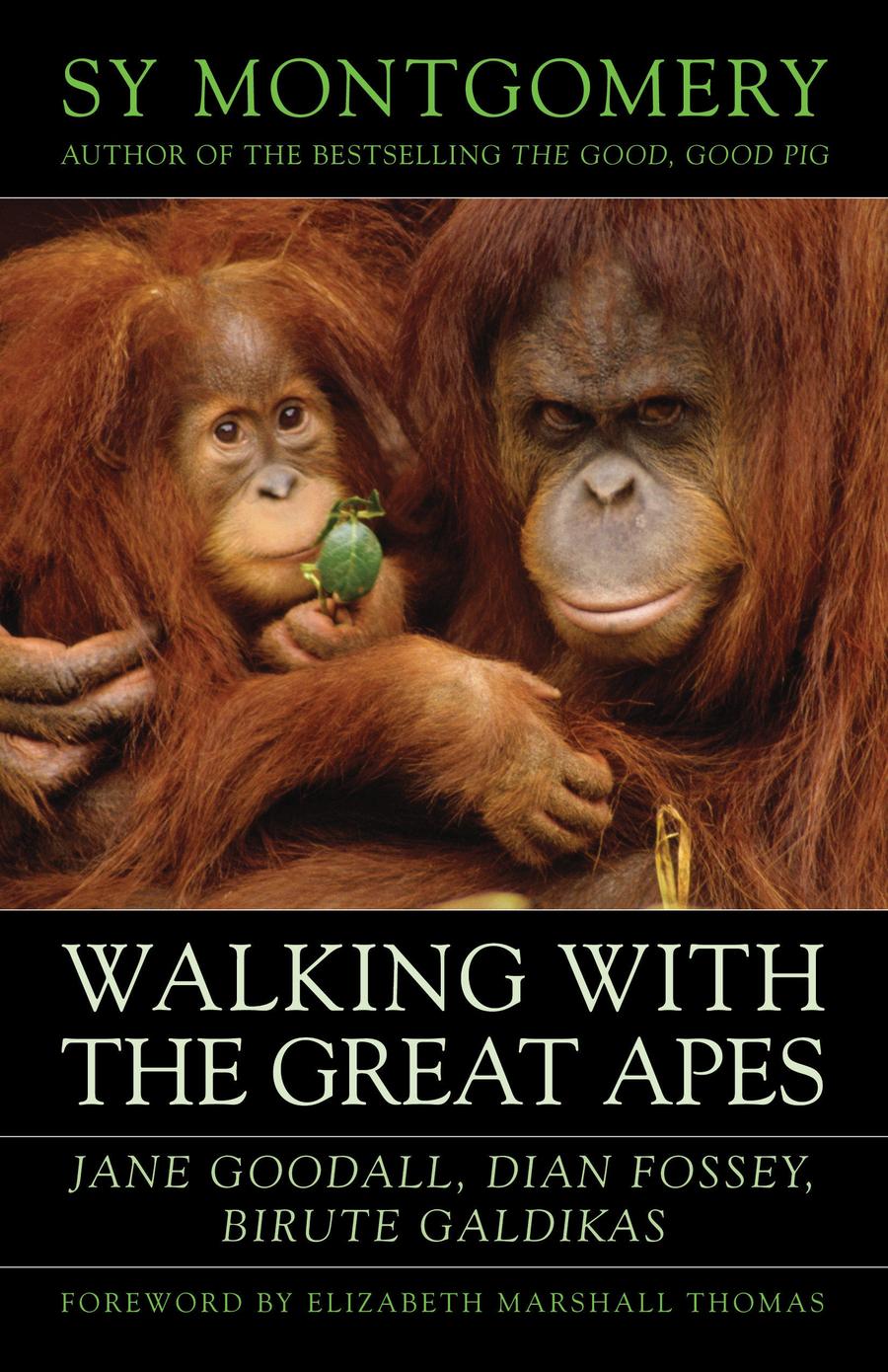 Walking with the Great Apes-Nature and the natural world: general interest-買書書 BuyBookBook