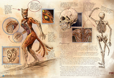 DC Comics: Anatomy of a Metahuman inside page 3