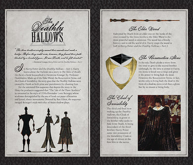 Harry Potter Deathly Hallows Hardcover Ruled Journal inside page 2