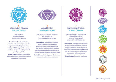 Yogasana inside page 4