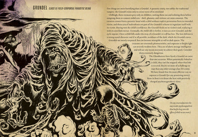 Tobin's Spirit Guide inside page 1