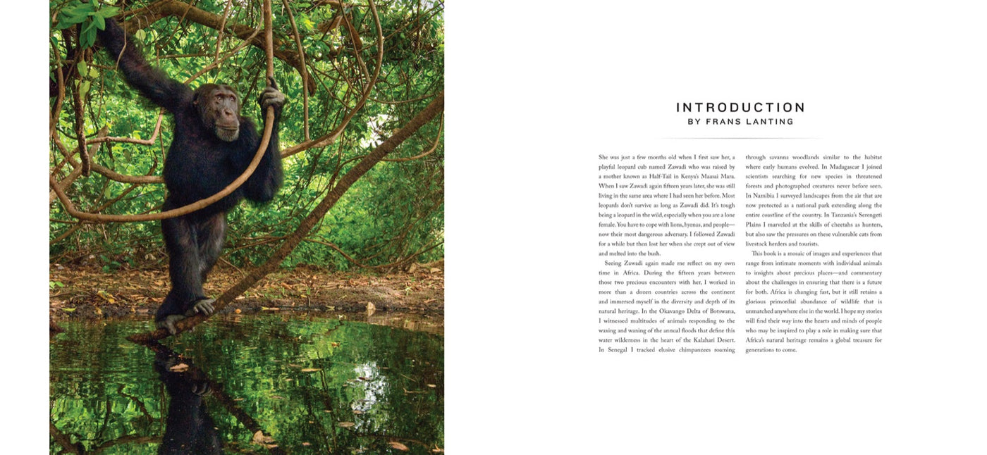 Into Africa inside page 2
