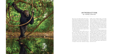 Into Africa inside page 2