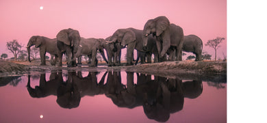 Into Africa inside page 3