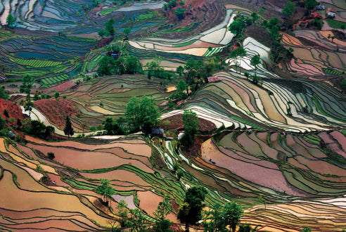 Art Wolfe: Extraordinary Earth Blank Boxed Notecards inside page 3