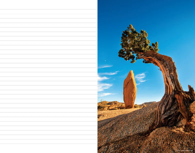 National Parks: An Inspirational Journal inside page 4