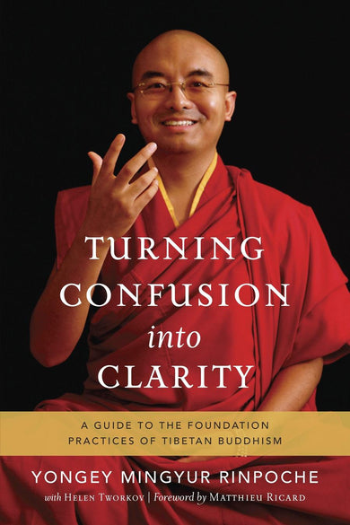 Turning Confusion into Clarity-Religion and beliefs-買書書 BuyBookBook