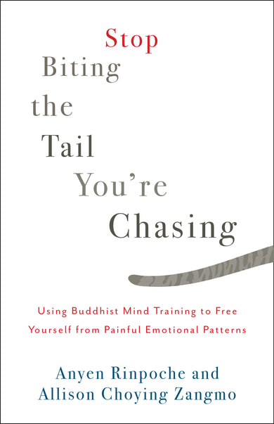 Stop Biting the Tail You're Chasing-Religion and beliefs-買書書 BuyBookBook