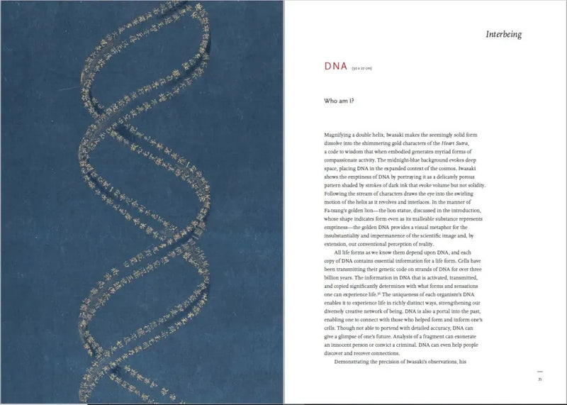 Painting Enlightenment US - Hardback