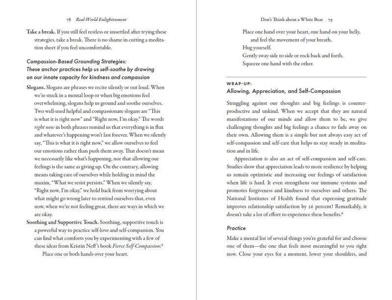 Real-World Enlightenment US - Paperback / softback