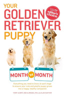 Your Golden Retriever Puppy Month by Month