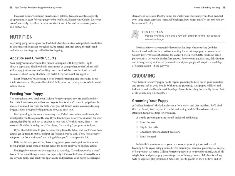 Your Golden Retriever Puppy Month by Month US - Paperback / softback