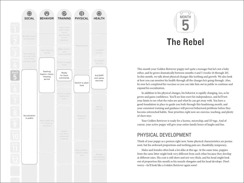 Your Golden Retriever Puppy Month by Month US - Paperback / softback