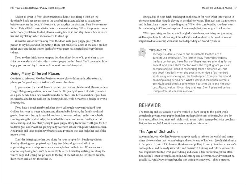 Your Golden Retriever Puppy Month by Month US - Paperback / softback