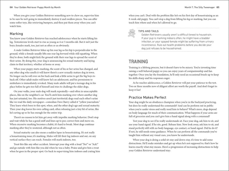 Your Golden Retriever Puppy Month by Month US - Paperback / softback