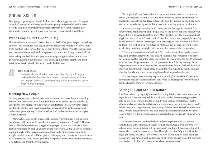 Your Golden Retriever Puppy Month by Month US - Paperback / softback