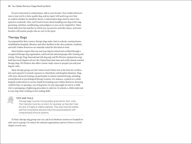 Your Golden Retriever Puppy Month by Month US - Paperback / softback