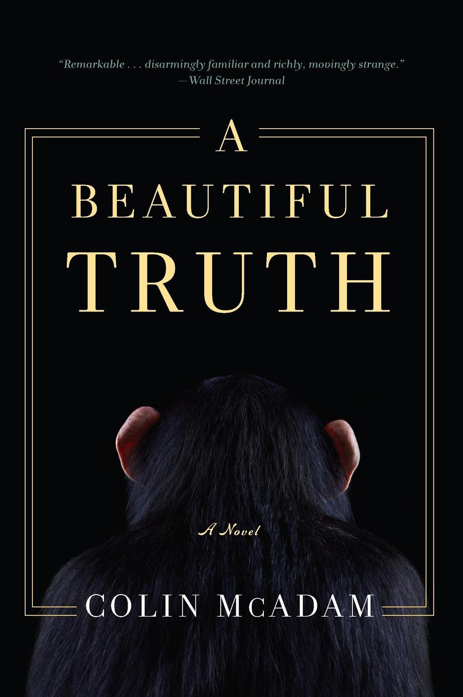 A Beautiful Truth-Fiction: general and literary-買書書 BuyBookBook