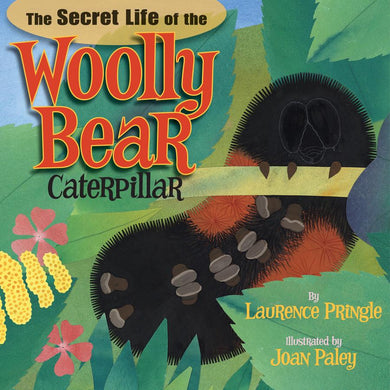 The Secret Life of the Woolly Bear Caterpillar-Children’s / Teenage general interest: Nature and animals-買書書 BuyBookBook