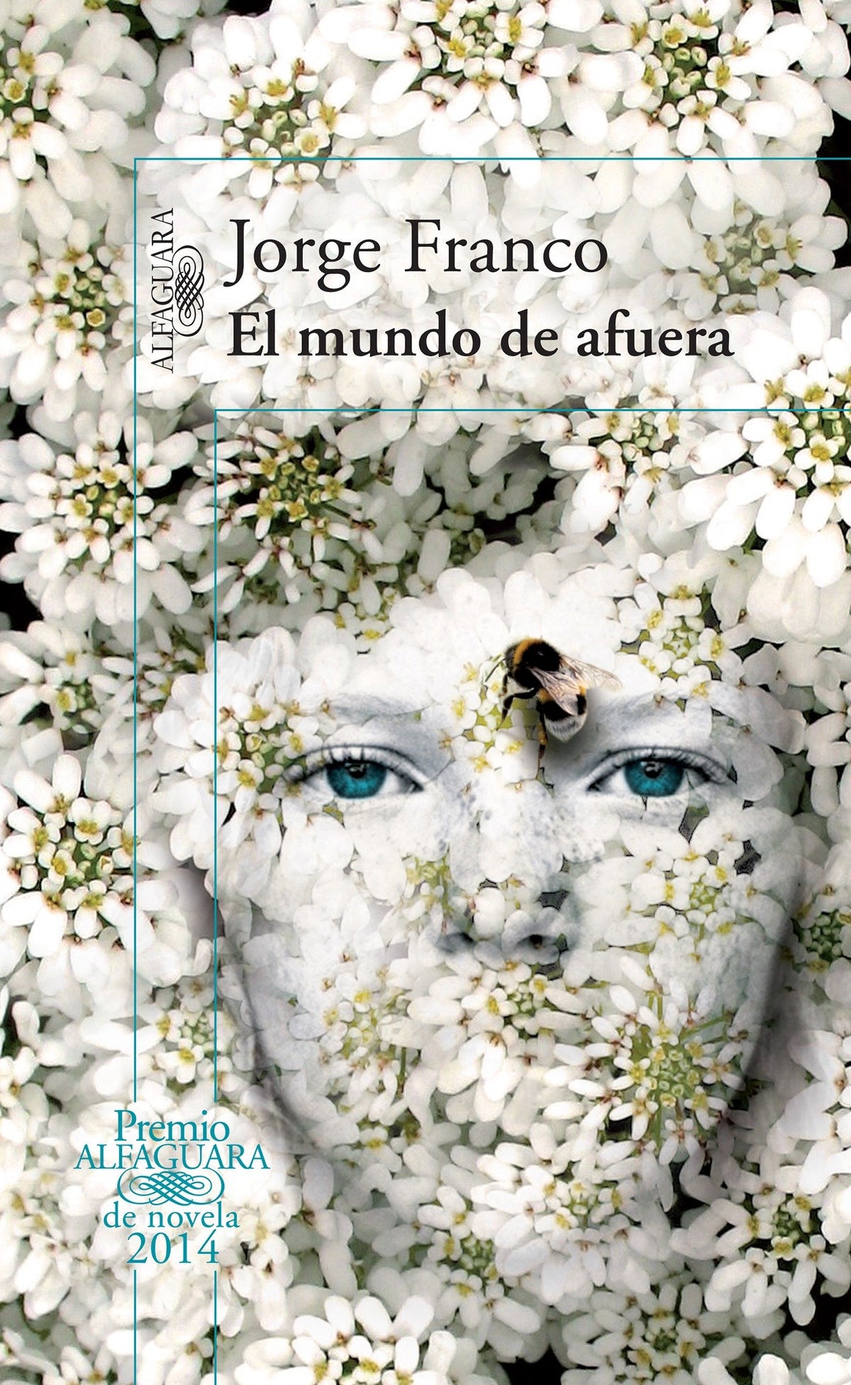 El mundo de afuera / The Outside World cover (ISBN 9781622639403)