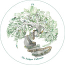 The Cantigee Oracle US - Cards