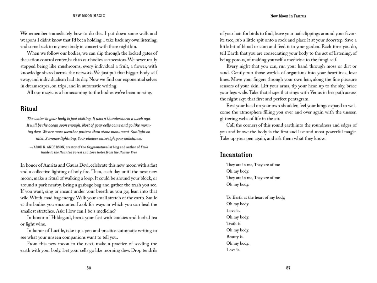 New Moon Magic US - Paperback / softback