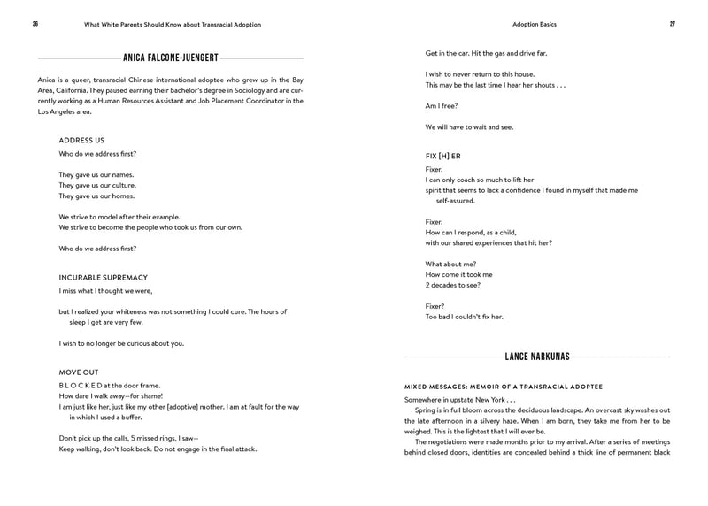 What White Parents Should Know about Transracial Adoption--The Workbook US - Paperback / softback