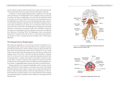 Yoga for Pelvic Floor and Postpartum Health US - Paperback / softback
