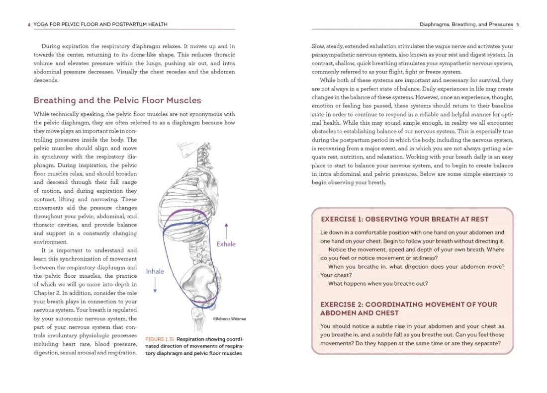 Yoga for Pelvic Floor and Postpartum Health US - Paperback / softback