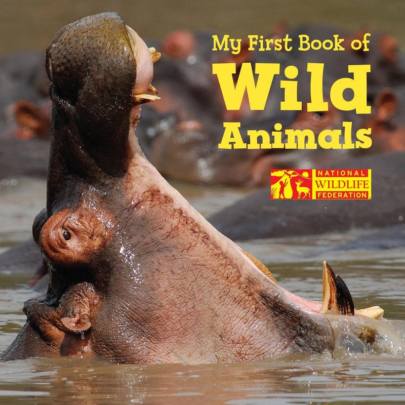 My First Book of Wild Animals (National Wildlife Federation)-Children’s / Teenage general interest: Nature and animals-買書書 BuyBookBook
