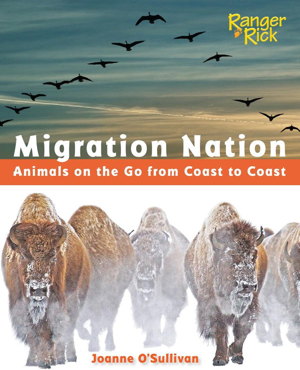 Migration Nation (National Wildlife Federation)-Children’s / Teenage general interest: Nature and animals-買書書 BuyBookBook