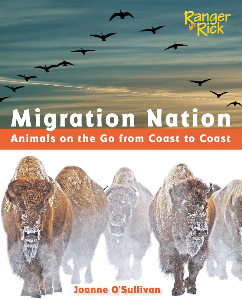 Migration Nation (National Wildlife Federation)-Children’s / Teenage general interest: Nature and animals-買書書 BuyBookBook