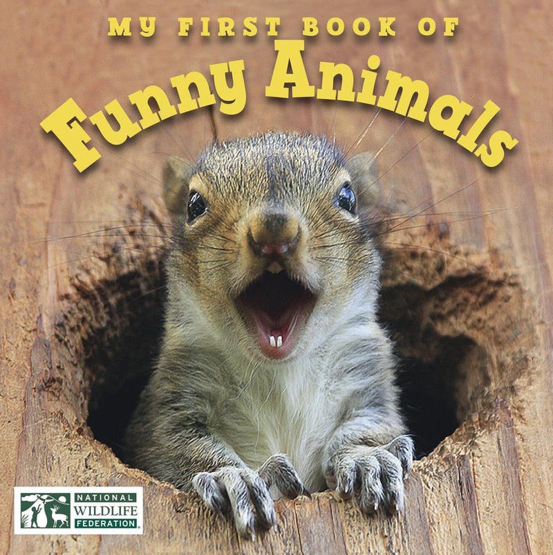 My First Book of Funny Animals (National Wildlife Federation)-Children’s / Teenage general interest: Nature and animals-買書書 BuyBookBook