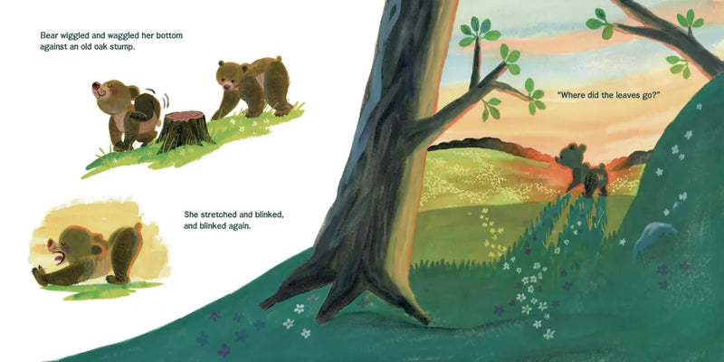 Bear Helps the Forest (Maybe You Help, Too) US - Hardback