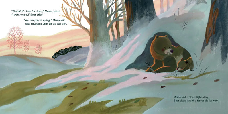 Bear Helps the Forest (Maybe You Help, Too) US - Hardback