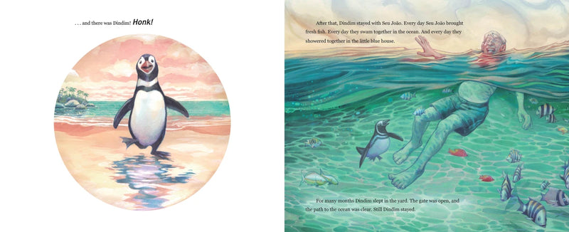 The Penguin of Ilha Grande US - Hardback