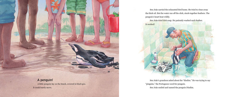 The Penguin of Ilha Grande US - Hardback